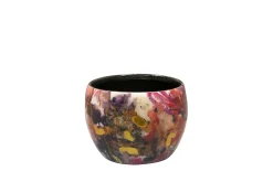 Pot sweet magnolia d9 h7