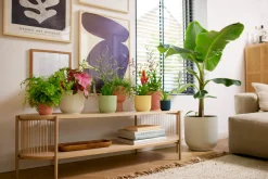 Pot vibes fold 25cm zijdewit