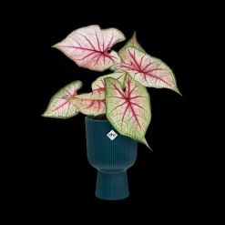 Pot vibes fold coupe 14cm diepblauw