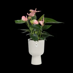 Pot vibes fold coupe 14cm zijdewit