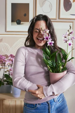 Pot Vibes fold orchidee