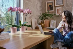 Pot Vibes fold orchidee