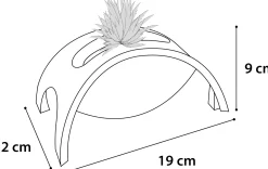 Ps roller crazy bridge