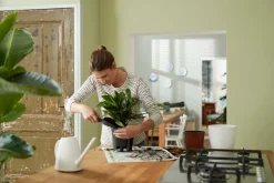 SELF-WATERING INSERT 44CM LIVING BLACK