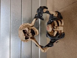 Skelet buste hoofd in handen