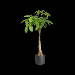 SOFT ROND 35CM ANTRACIET