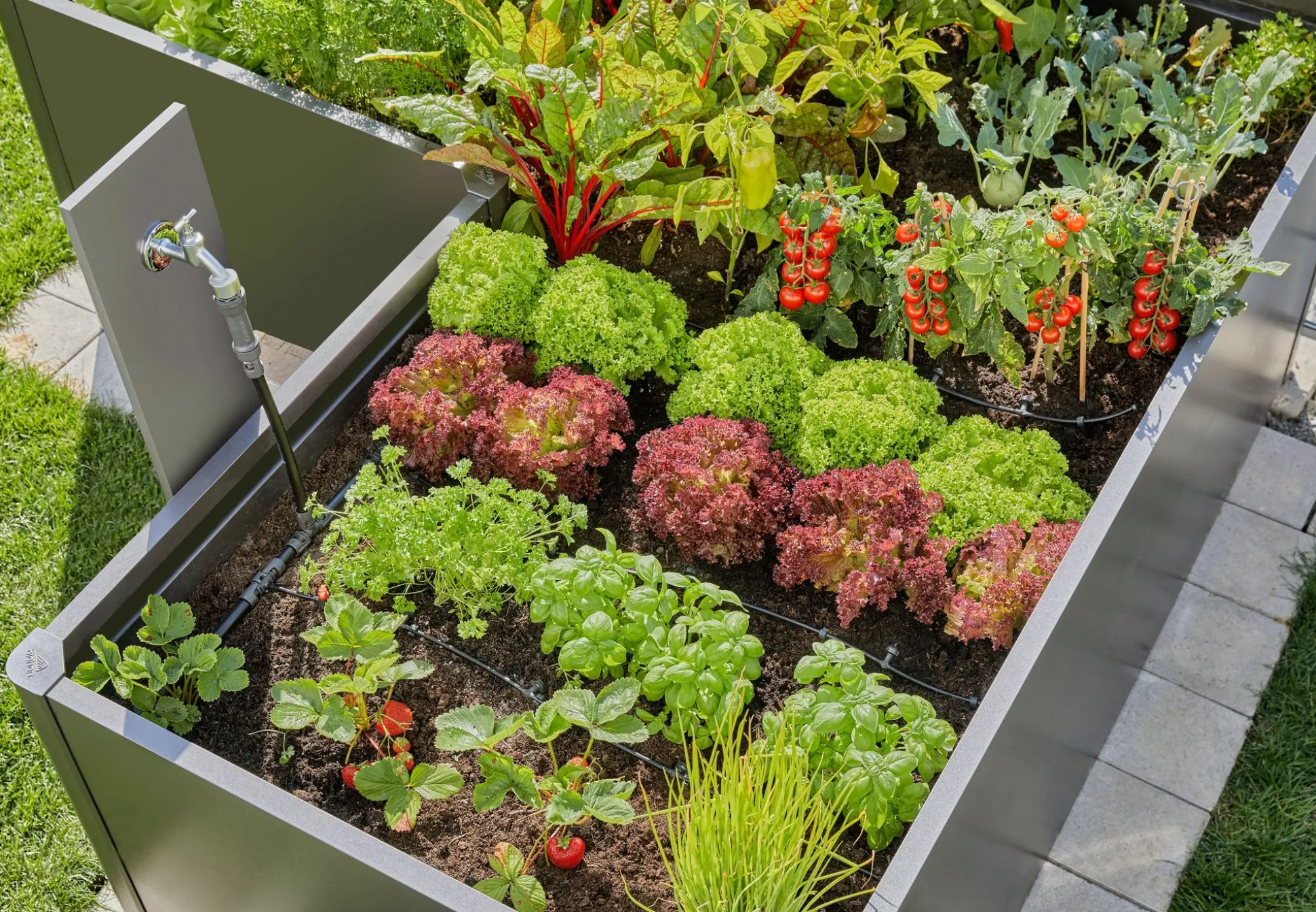 Startset voor verhoogde bloembedden en moestuinen