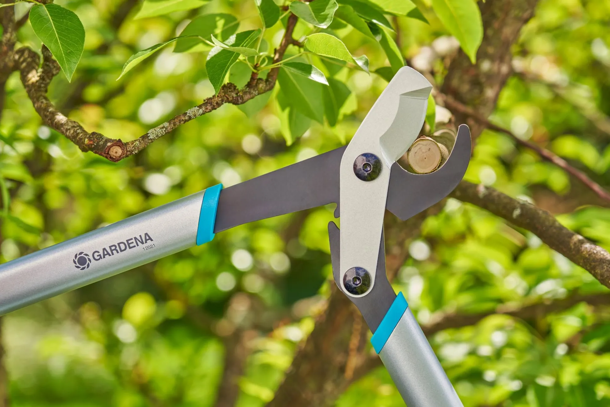 Takkenschaar EnergyCut Basic