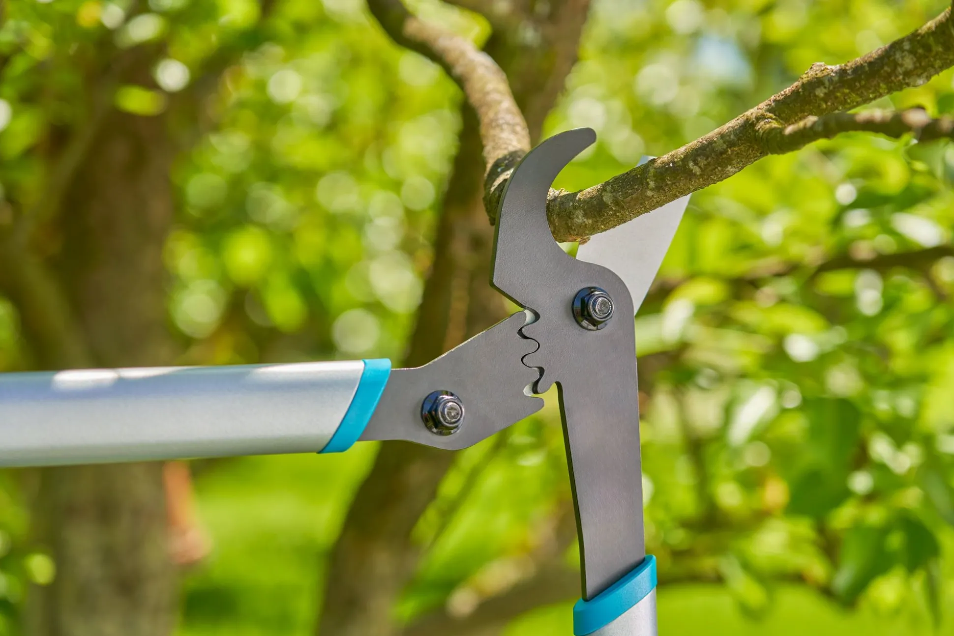 Takkenschaar EnergyCut Basic