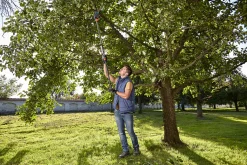 Takkenschaar StarCut 160 plus