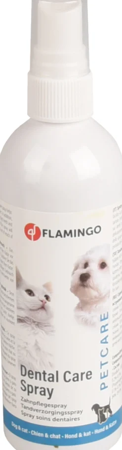 Tandverzorgingsspray munt -  spray