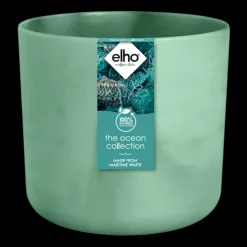 The Ocean Collection 14cm Pacific green