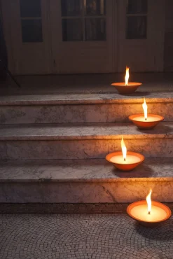 Tuinkaars Royal flame in terracotta schaal 13u - ivoor