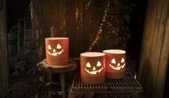 Tuinkaars Royal flame in terracotta schaal 13u - ivoor