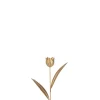 Tulp metaal goud s (8x4x30cm)