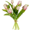 Tulpenbundel creme/roze