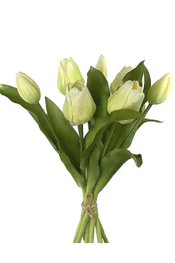 Tulpenbundel lichtgroen