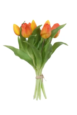 Tulpenbundel oranje