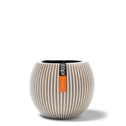 Vaas bol Groove 29x26