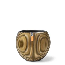 Vaas bol Groove 29x26