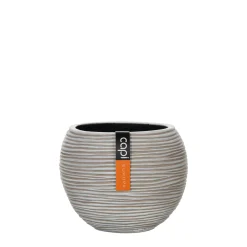 Vaas bol Rib 18x15