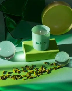 We are kaars re:born