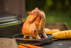 WEBER DELUXE GEVOGELTESTOMER