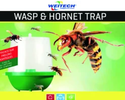 Wespen- en hoornaarval