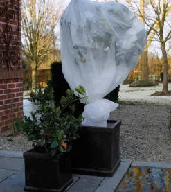 Winterafdekvlies 2x5m wit 30g/m²