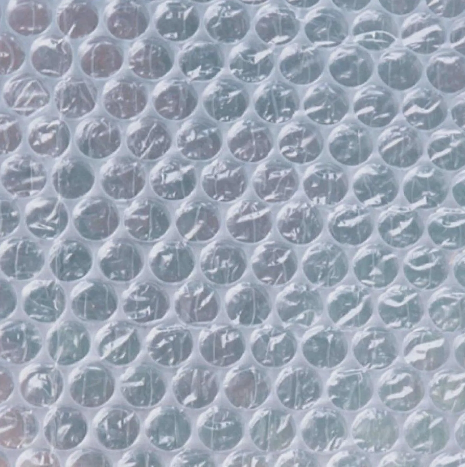 Winternoppenfolie op rol 0,50x5m Ø10mm