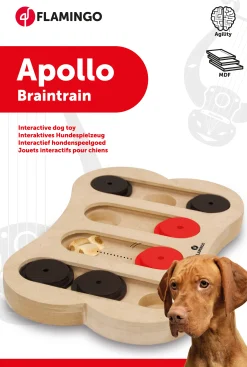 Wooden brain train apollo 30x20cm