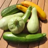 Zaden: courgette mengeling