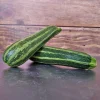 Zaden: courgette verte d'italie