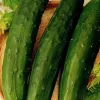 Zaden: komkommer vert long maraicher