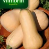 Zaden pompoen waltham butternut 2g