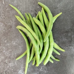 Zaden: stamslaboon (prinsessenboon) cupidon