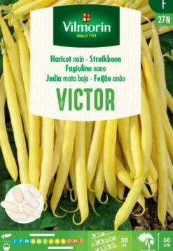 Zaden struikboon victor 100g