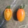 Zaden: tomaat blush