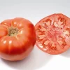 Zaden: tomaat marmande