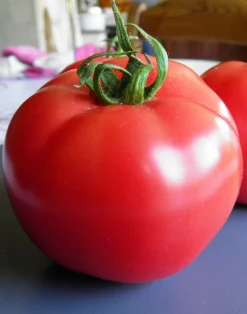 Zaden: tomaat rose de berne