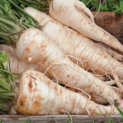 Zaden: wortel-peterselie